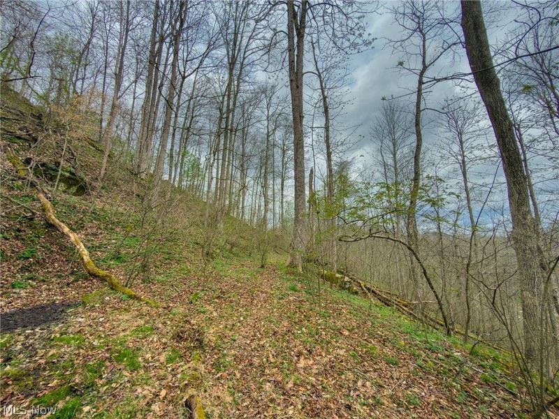 12450 State Route 26, Marietta, OH 45750 Photo 40