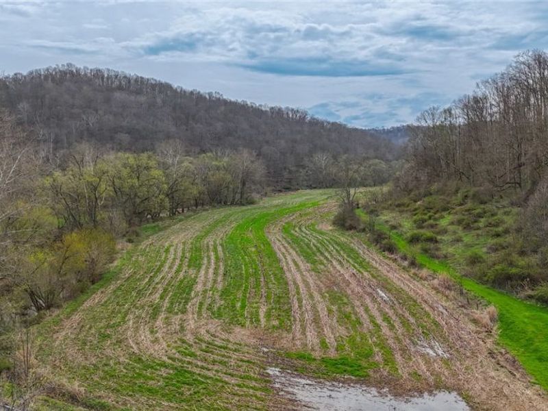 12450 State Route 26, Marietta, OH 45750 Photo 9