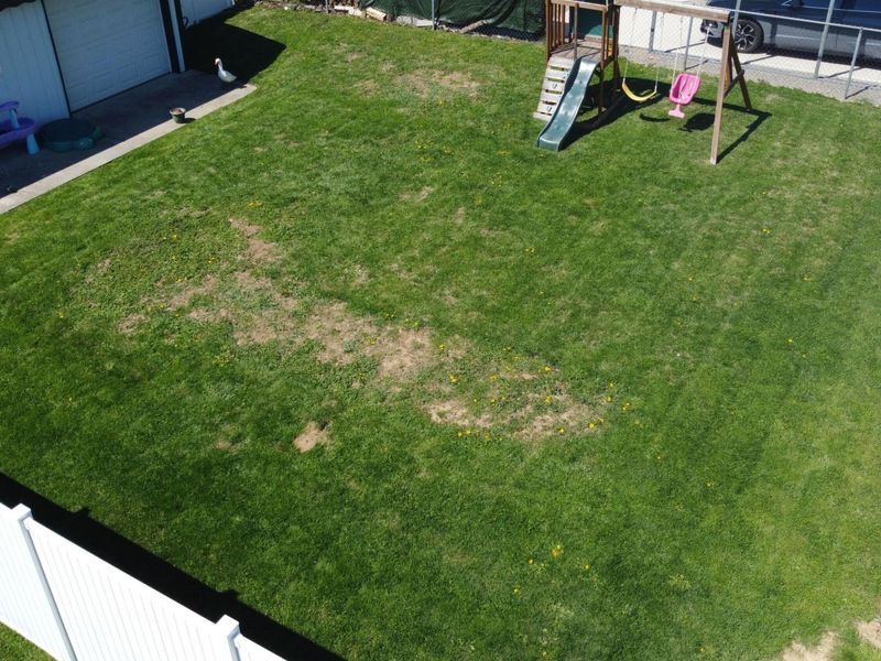 410 Rush Street, New Lexington, OH 43764 Photo 18