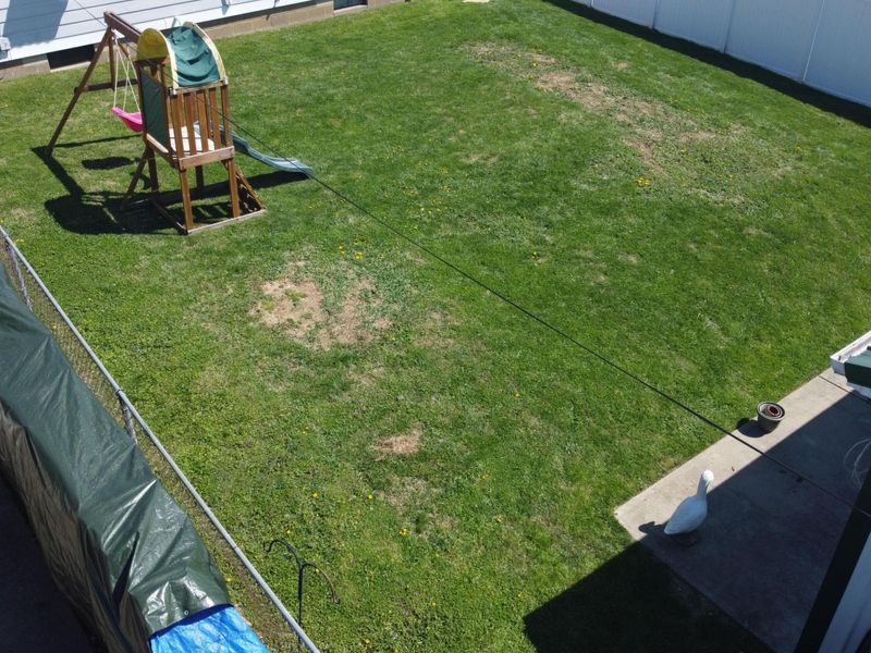 410 Rush Street, New Lexington, OH 43764 Photo 5