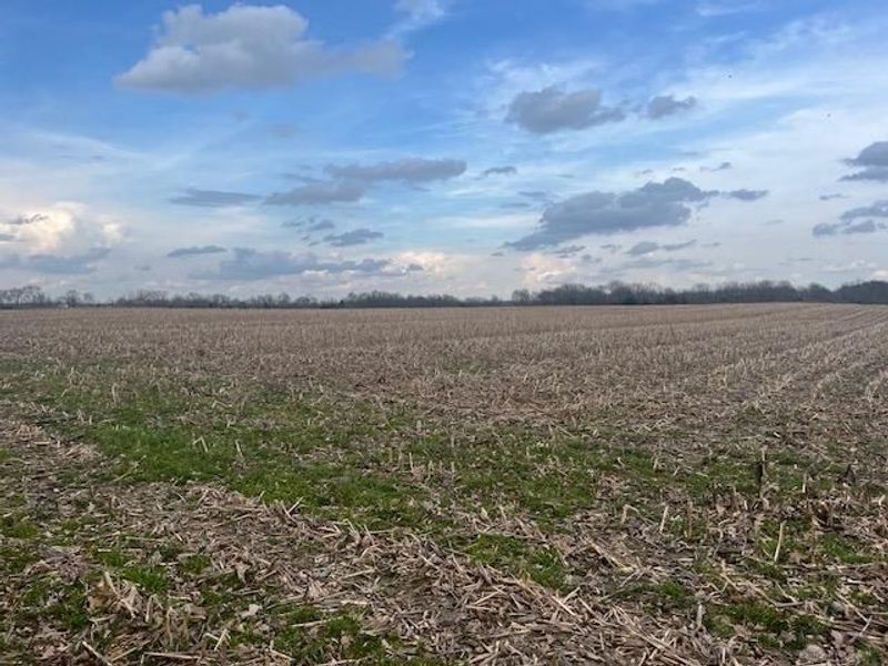 5097 Prices Creek Road, Lewisburg, OH 45338 Photo 19