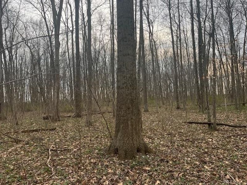 5097 Prices Creek Road, Lewisburg, OH 45338 Photo 20