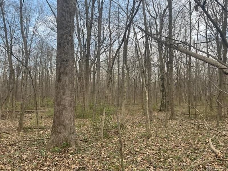 5097 Prices Creek Road, Lewisburg, OH 45338 Photo 3