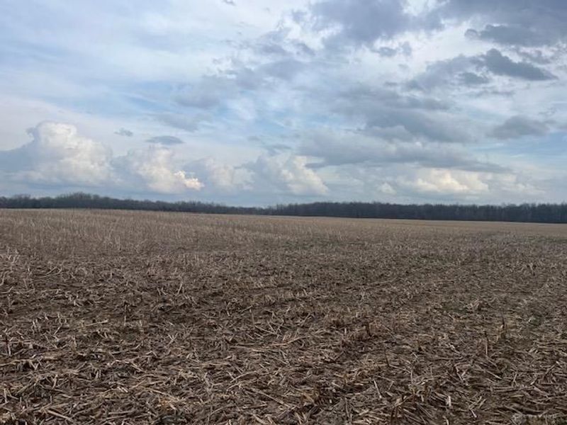 5097 Prices Creek Road, Lewisburg, OH 45338 Photo 6