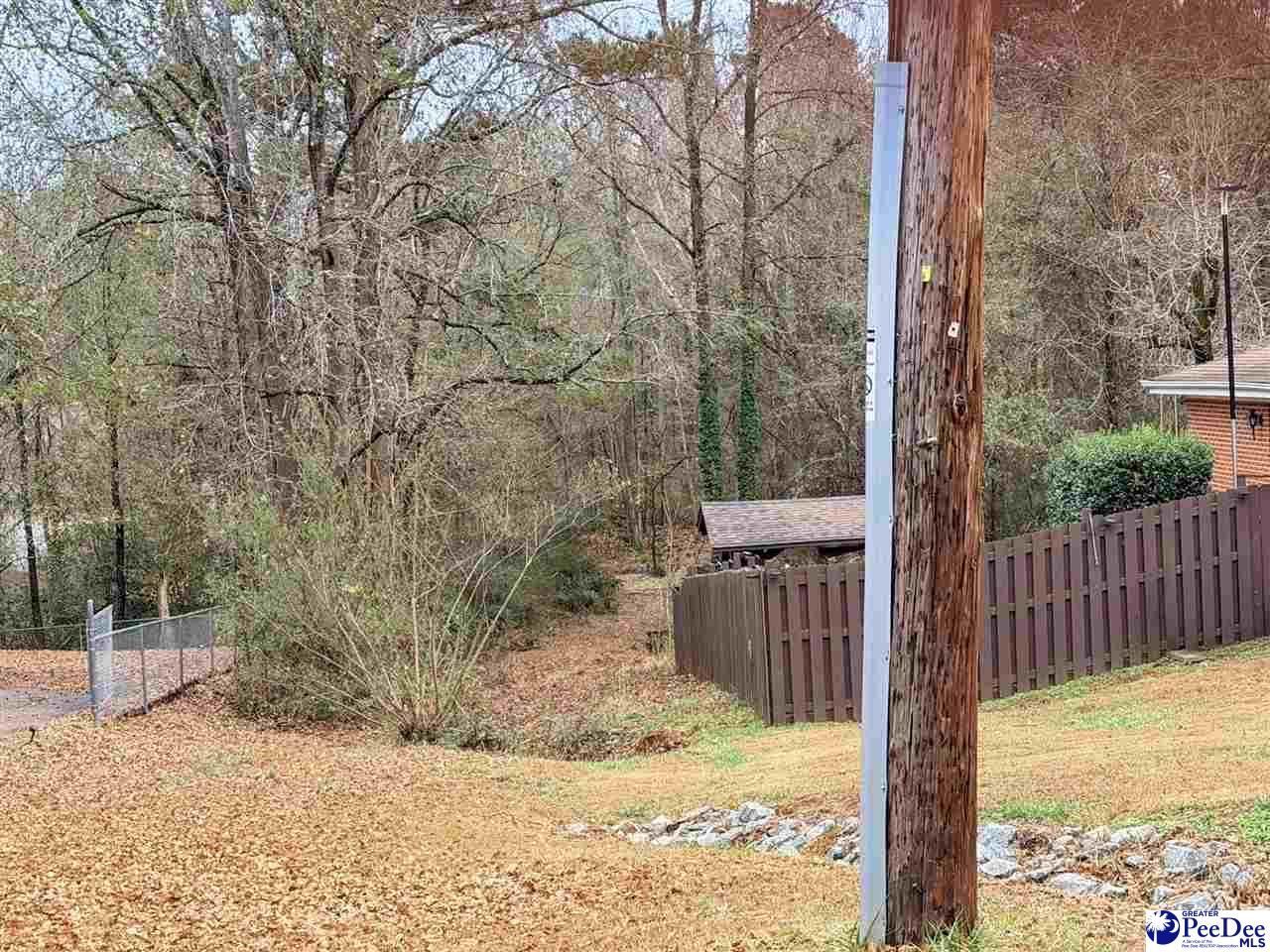 2753b Poinsett Hwy Photo 10