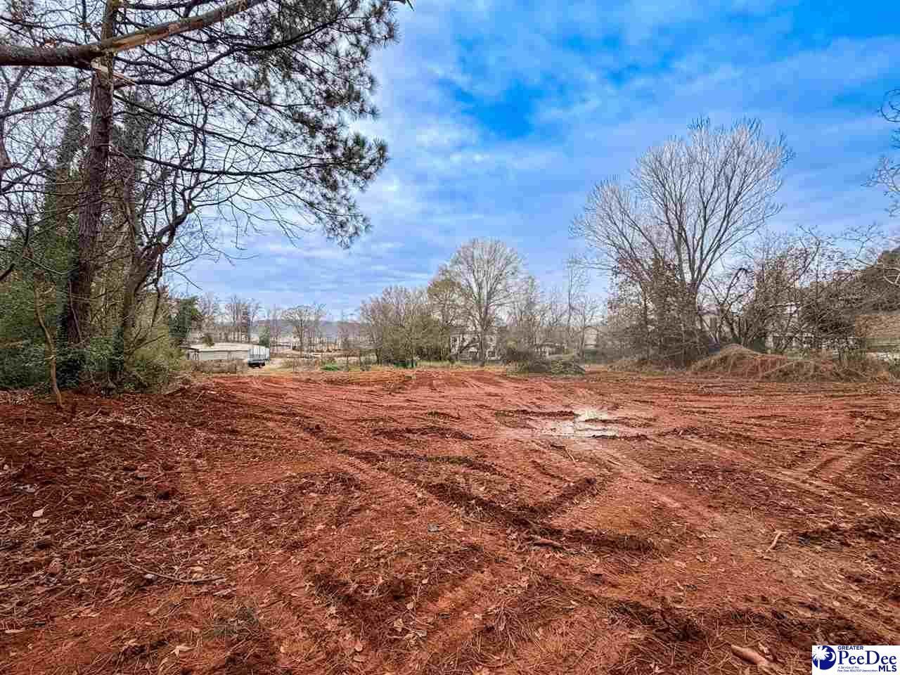 2753b Poinsett Hwy Photo 6