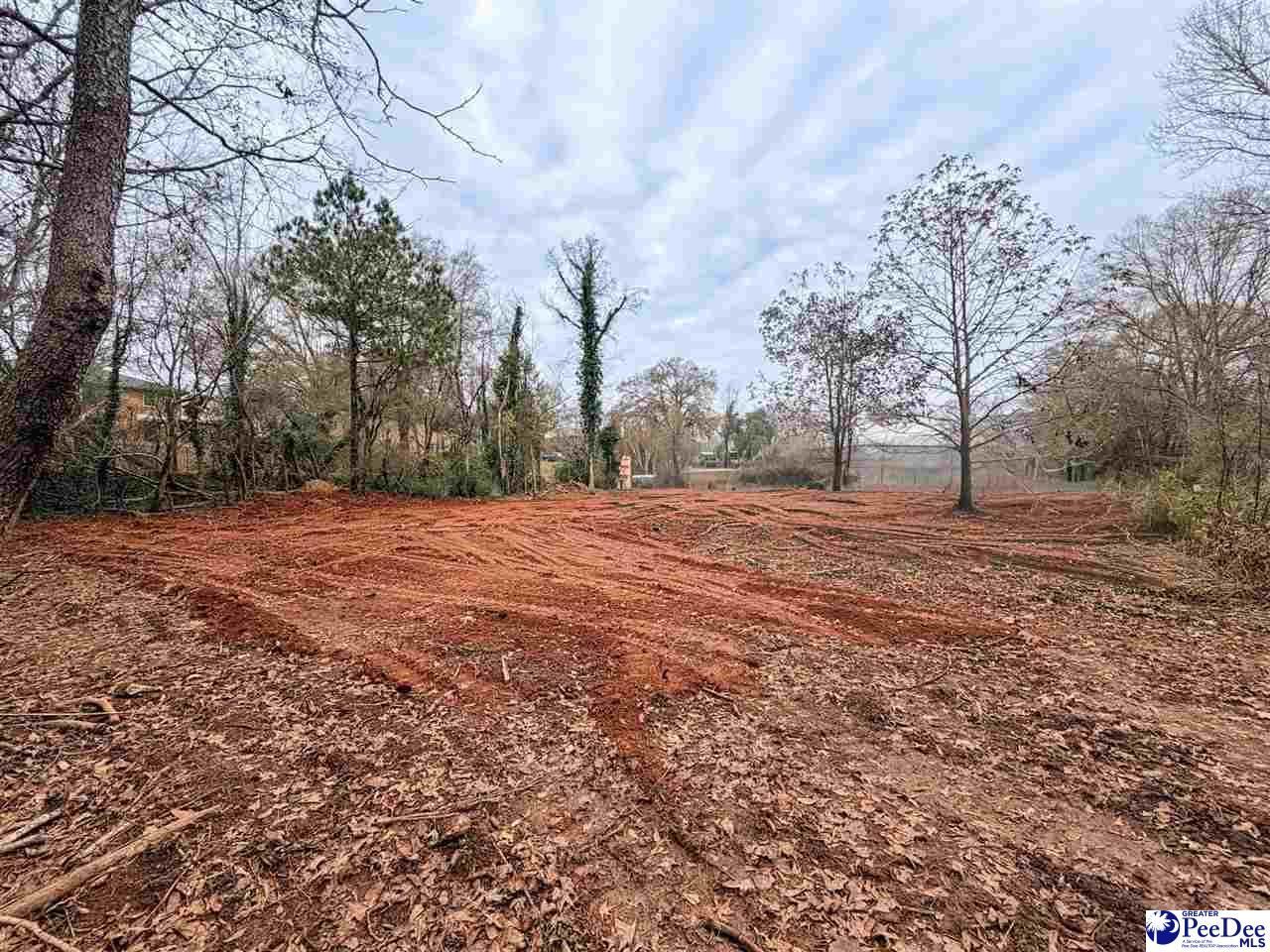 2753b Poinsett Hwy Photo 7