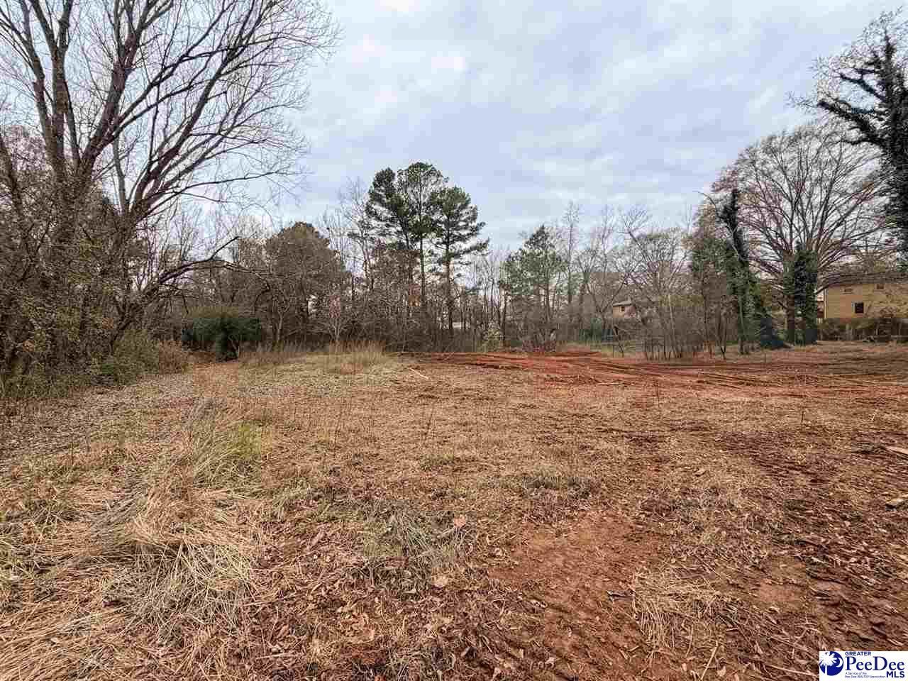 2753b Poinsett Hwy Photo 9