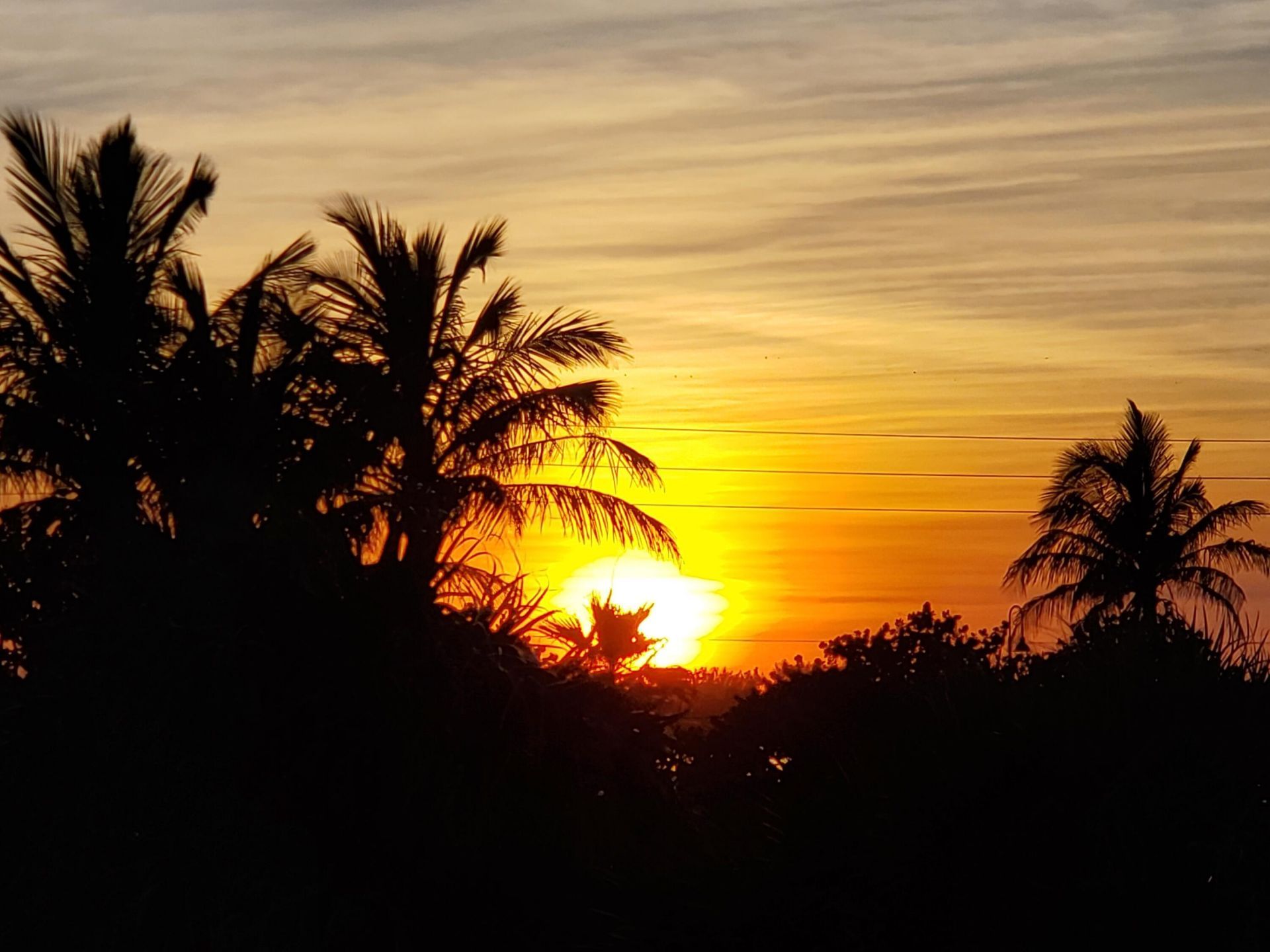 5510 N Ocean Drive, Unit 2c, Singer Island, FL 33404 Photo