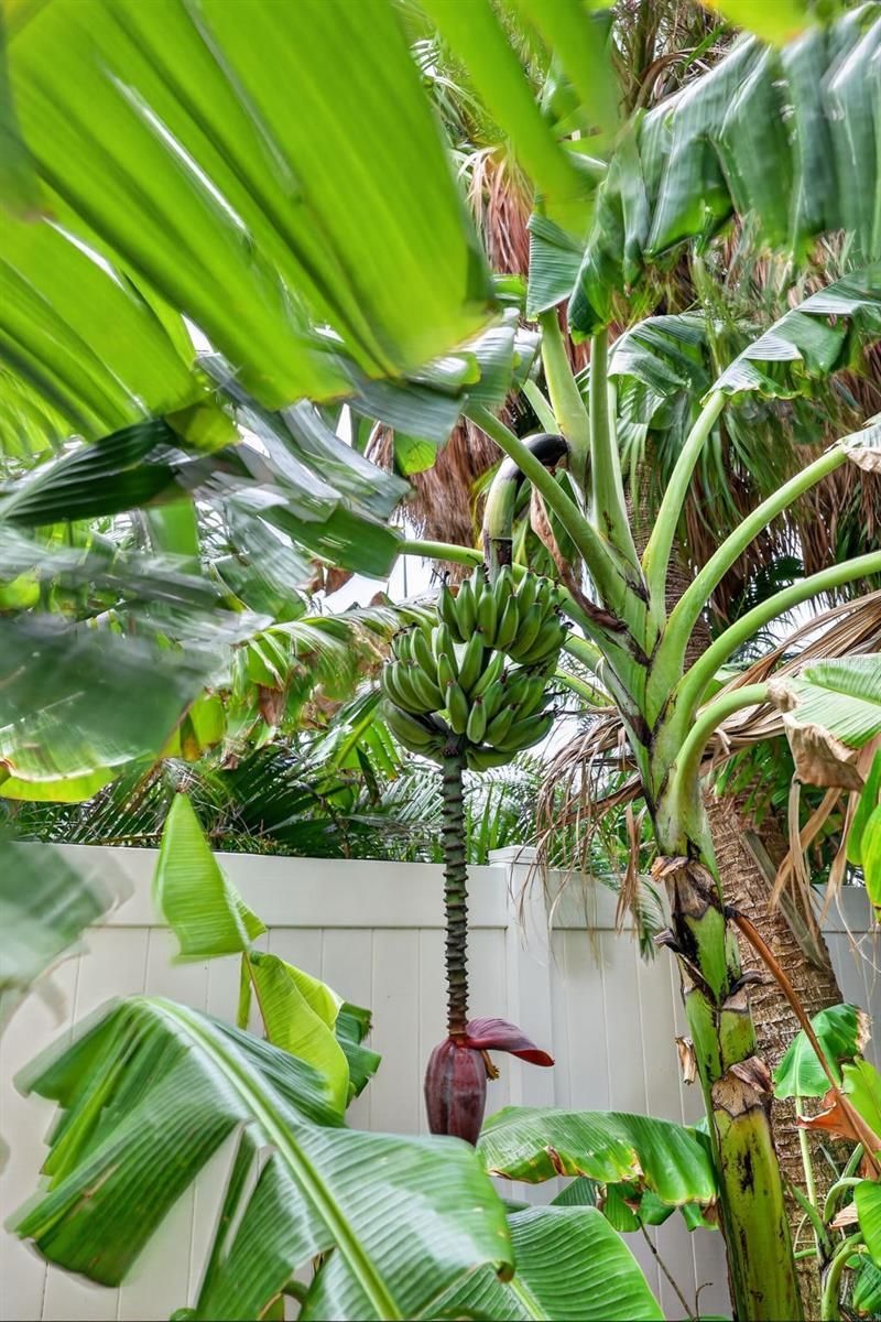 13 Treasure Ln, Treasure Island, FL 33706 Photo