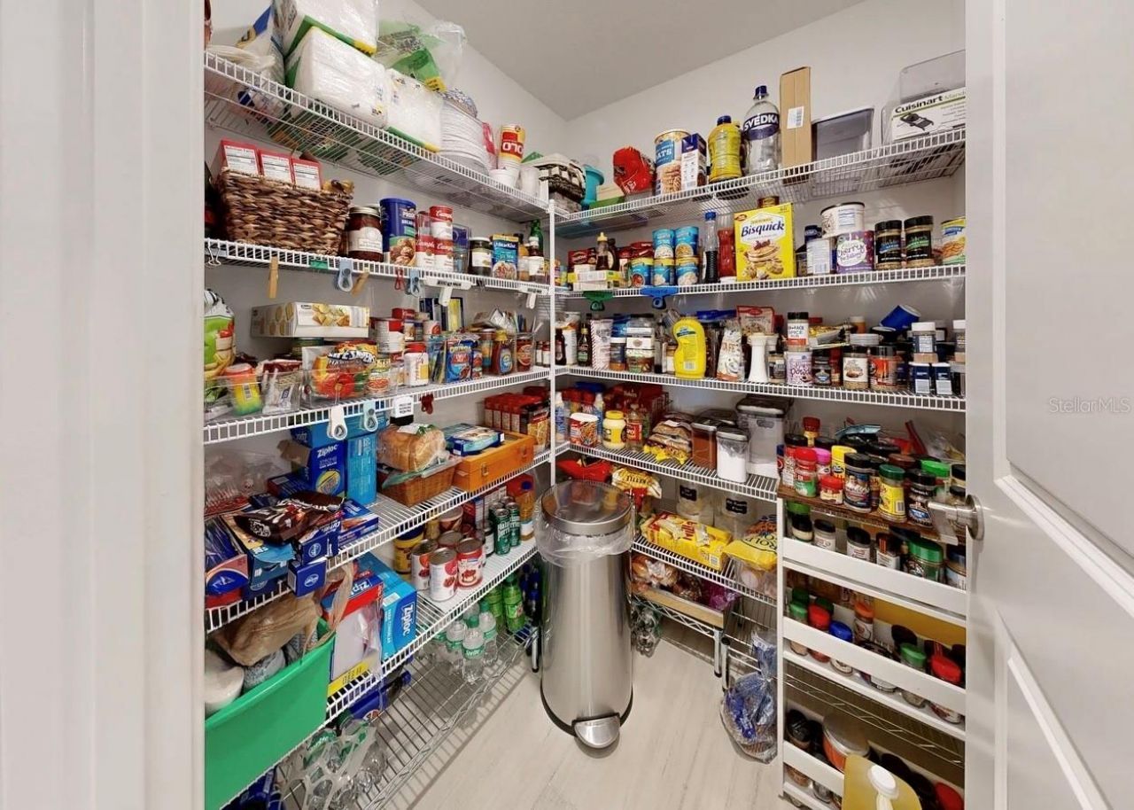 5336 Windy Grove Drive, Wimauma, FL 33598 Photo