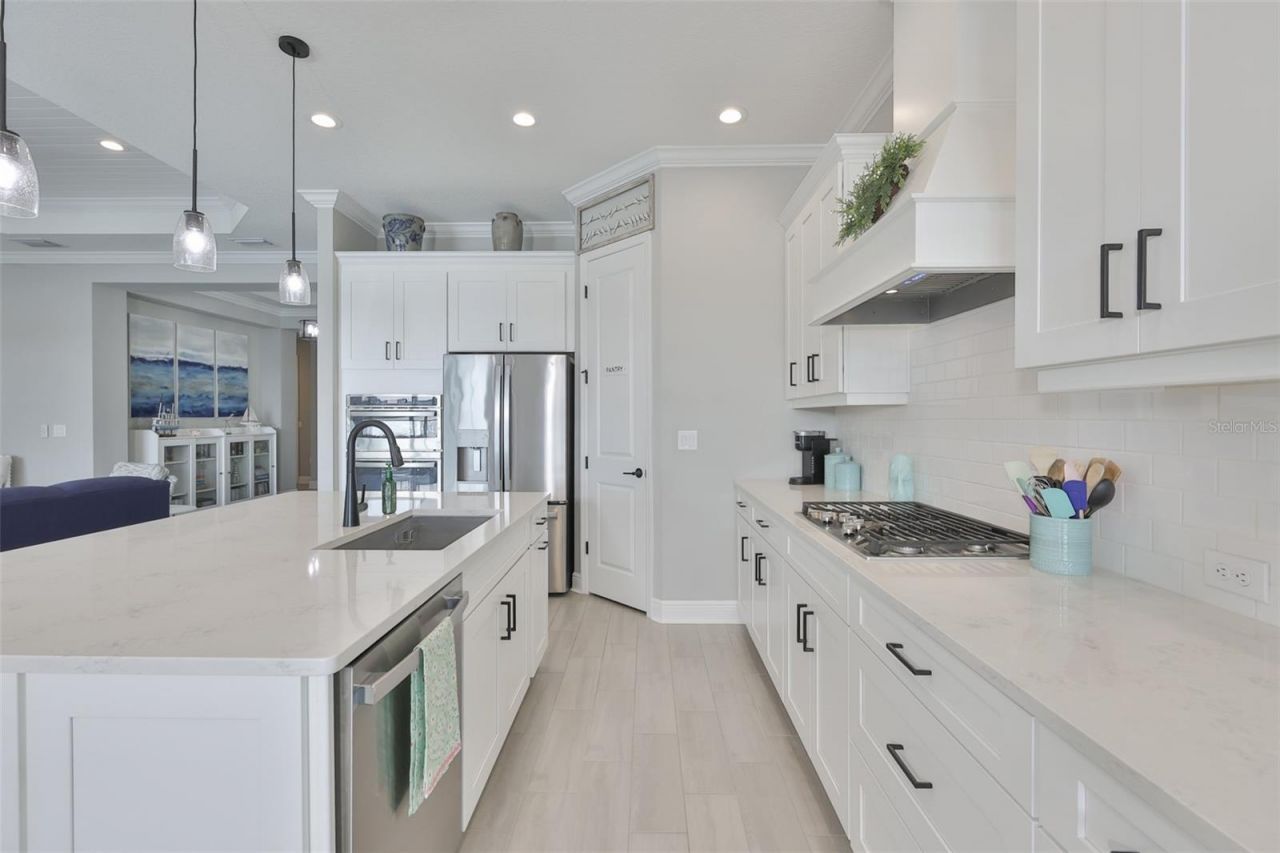 14264 Skipping Stone Loop, Parrish, FL 34219 Photo