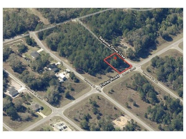 200 FISHER ROAD, OCKLAWAHA, FL 32179