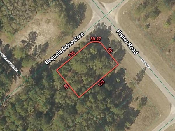 200 FISHER ROAD, OCKLAWAHA, FL 32179