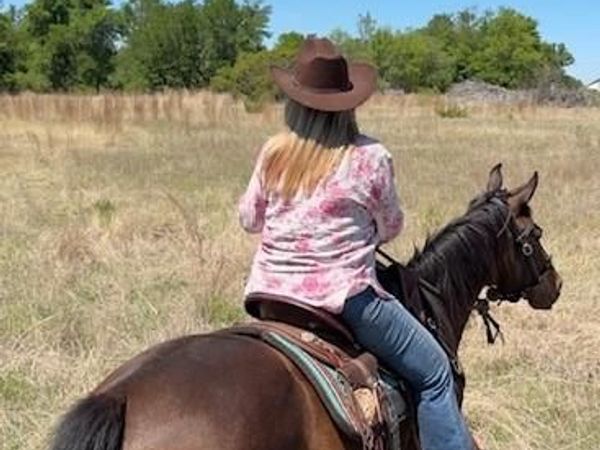 6665 CR 132, Stephenville, TX 76401