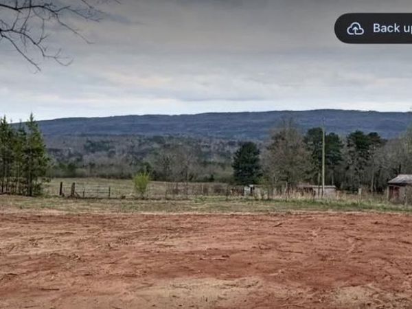 66 Acres County Road 865, Collinsville, AL 35961