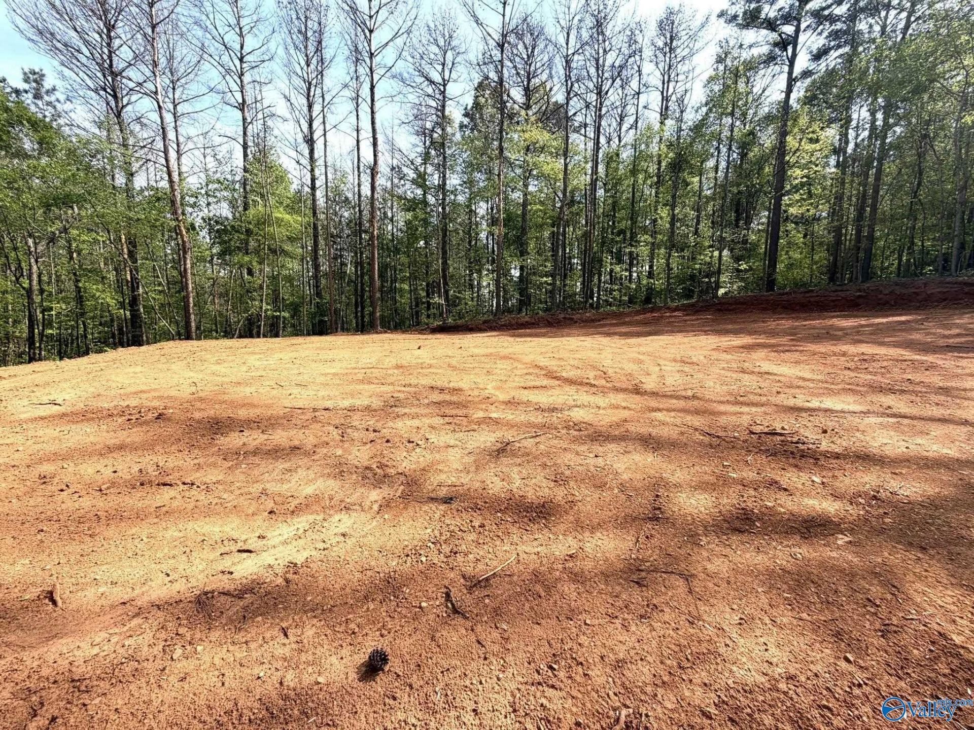 78 Acres Pine Street, Steele, AL 35987 Main Photo