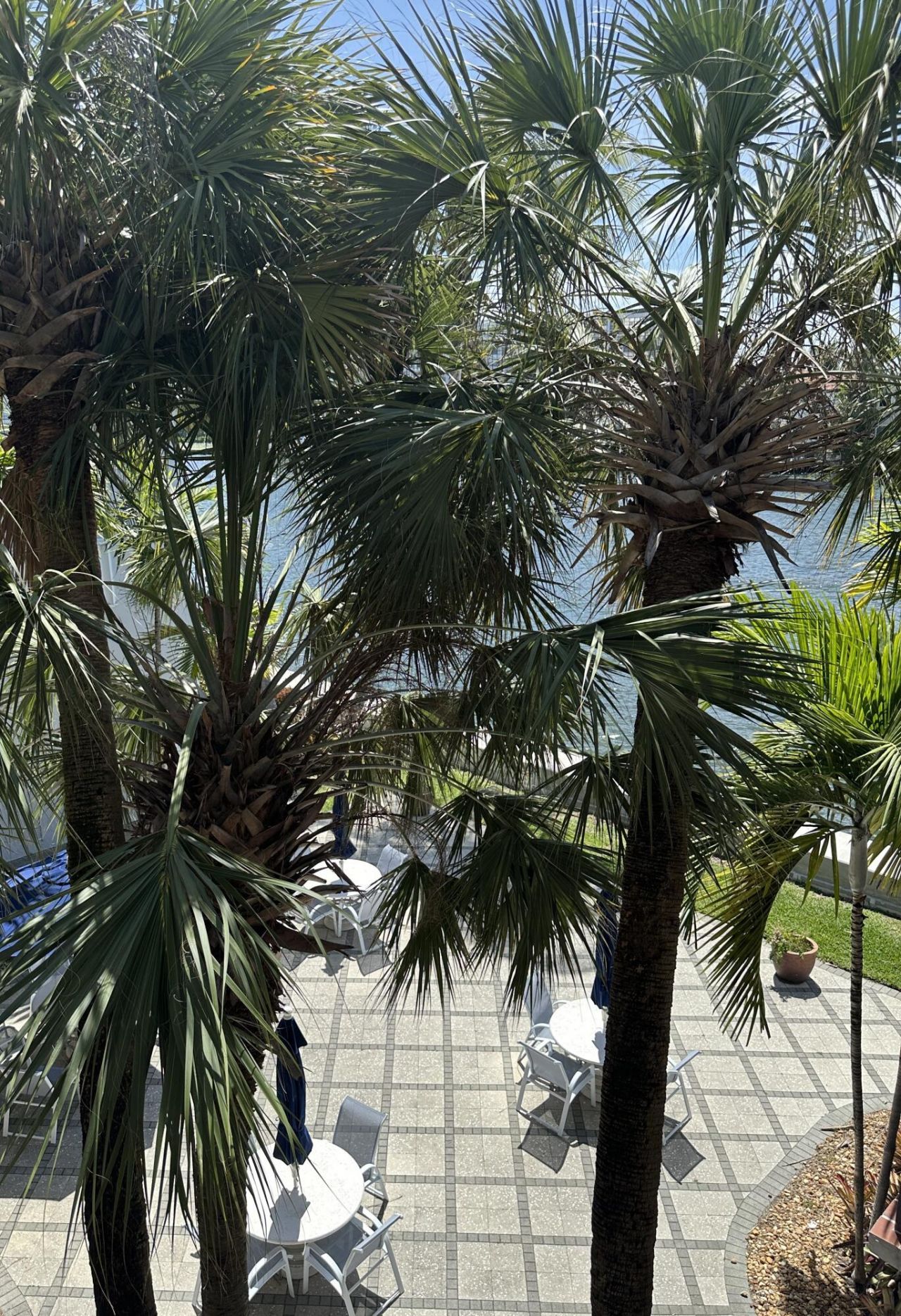 2600 S Ocean Drive, Unit S304, Hollywood, FL 33019 Photo