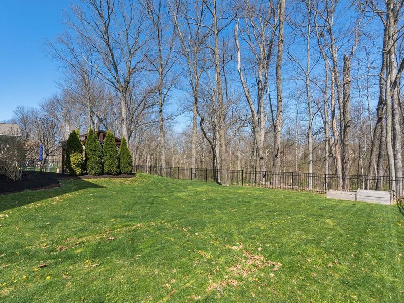 814 Memories Lane, Westerville, OH 43081 Photo 61