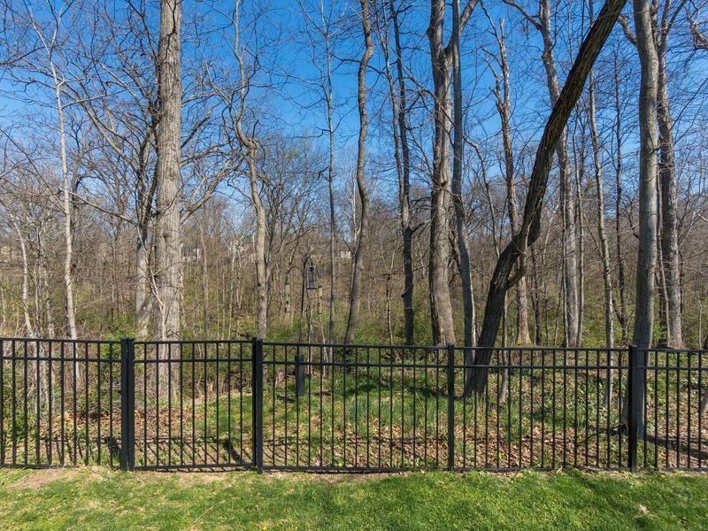 814 Memories Lane, Westerville, OH 43081 Photo 63