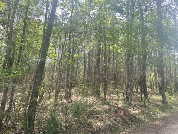 9.5 acres Debbie Brown Rd, Purvis, MS 39475