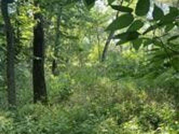 15400 Dubuque Place, Carlisle, IA 50047