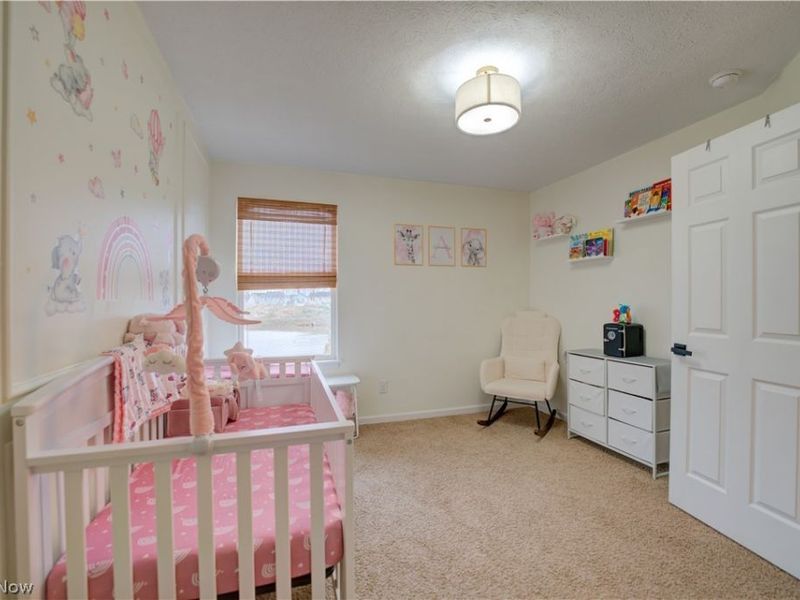 3523 Magnolia Drive, Lorain, OH 44053 Photo 33