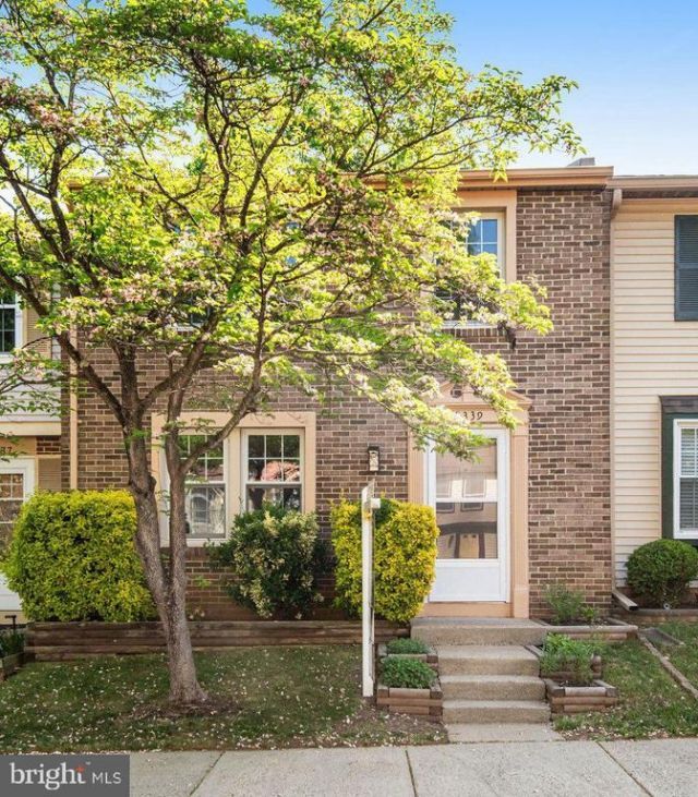8339 Bark Tree Court, Springfield, VA 22153 Main Photo