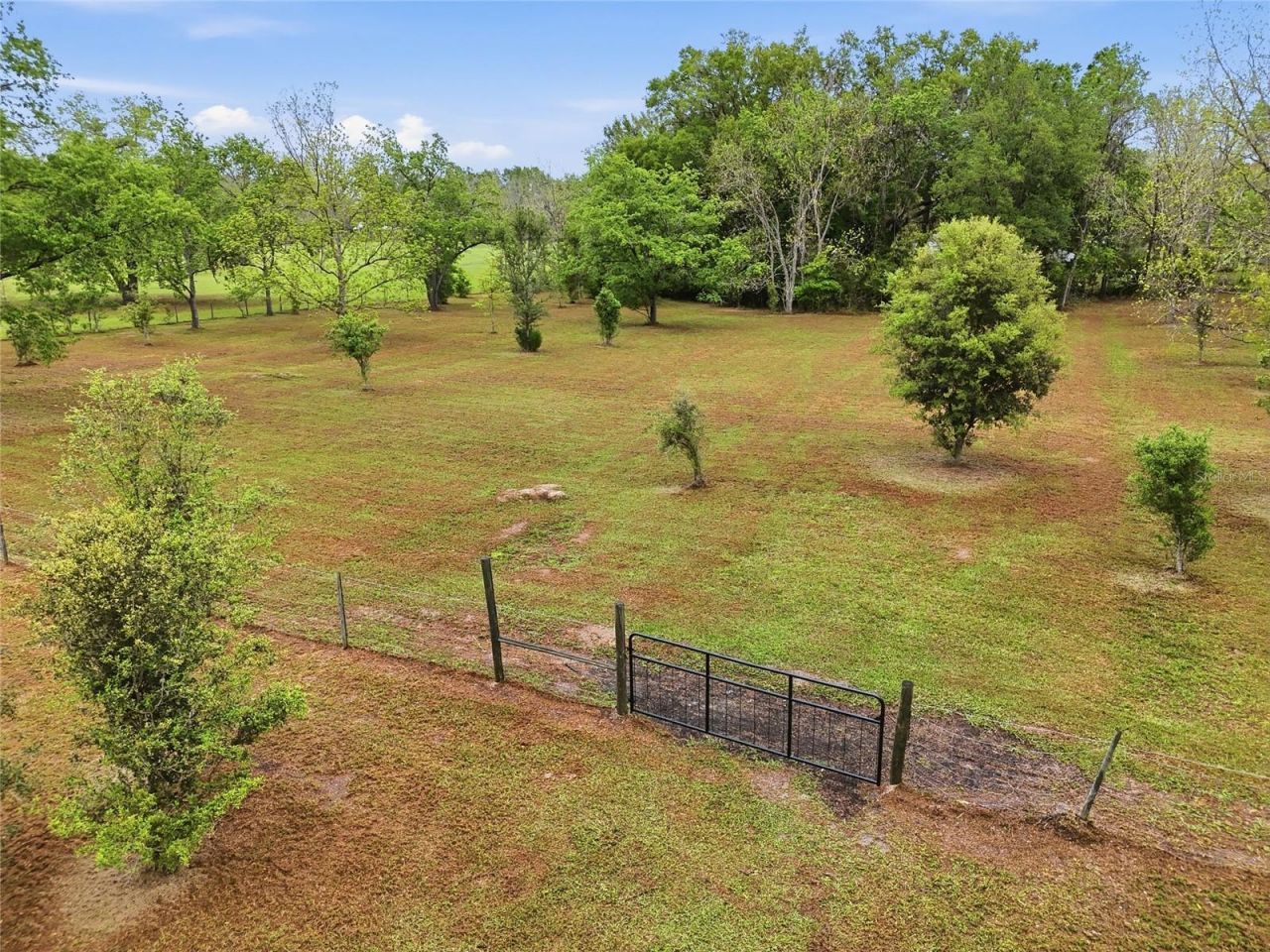 19518 NW 78th Avenue, Alachua, FL 32615 Photo