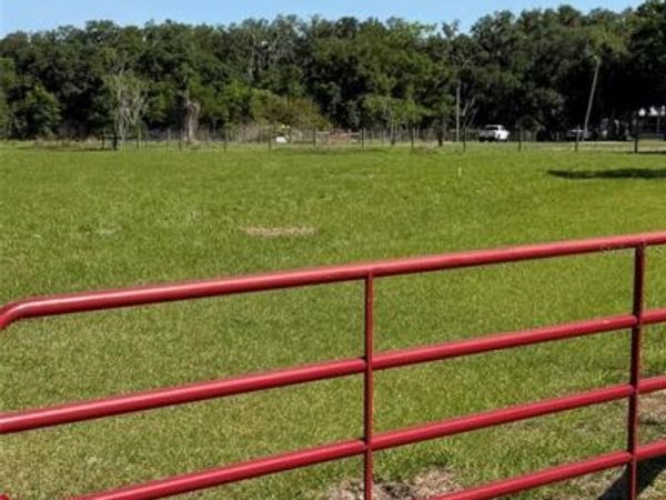 SYDNEY ROAD, DOVER, FL 33527