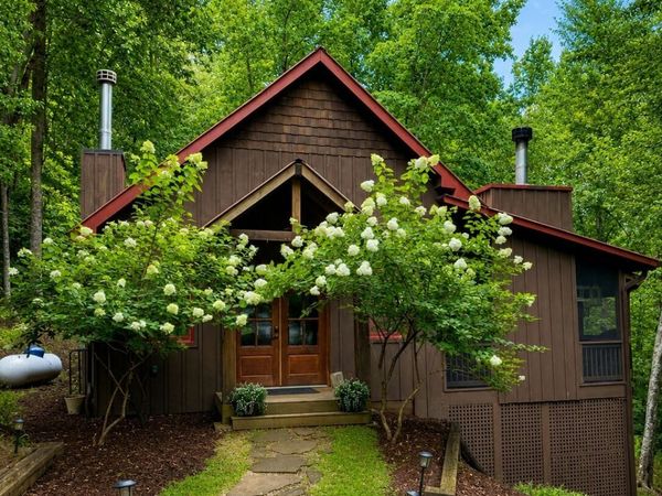 766 Laurel Ridge Drive, Blue Ridge, GA 30513