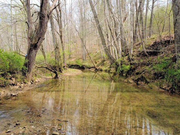 293 E Piney Rd , Dickson, TN 37055