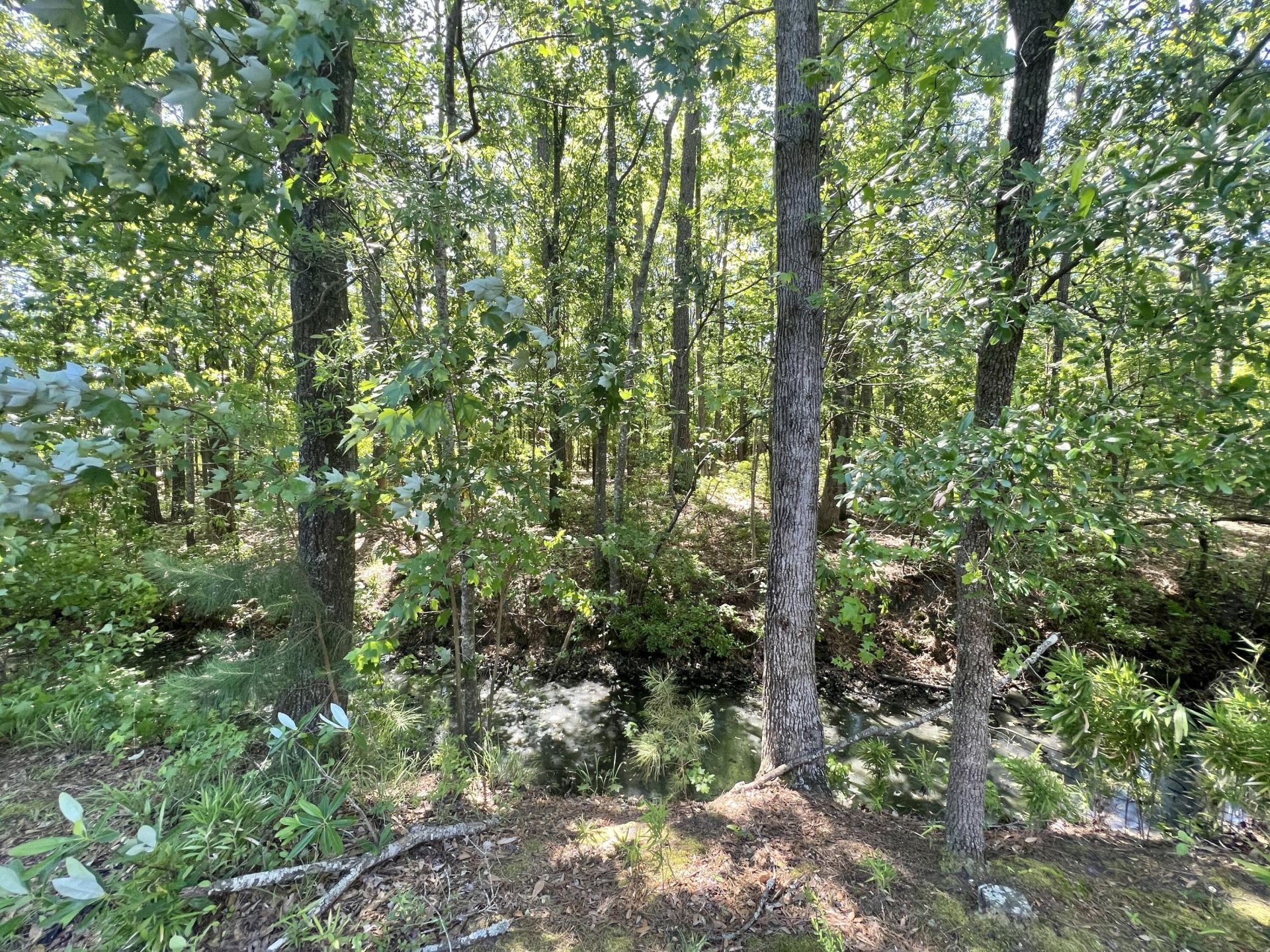 205 Jackson Street Photo 16