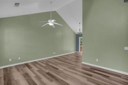 231 Cinnamon Hills Lane photo 4