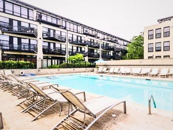 1151 W 14th Place , Unit 204, Chicago, IL 60608