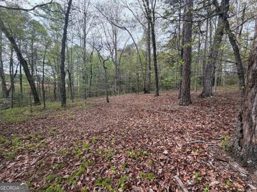 0 N County Line Road, Alto, GA 30510