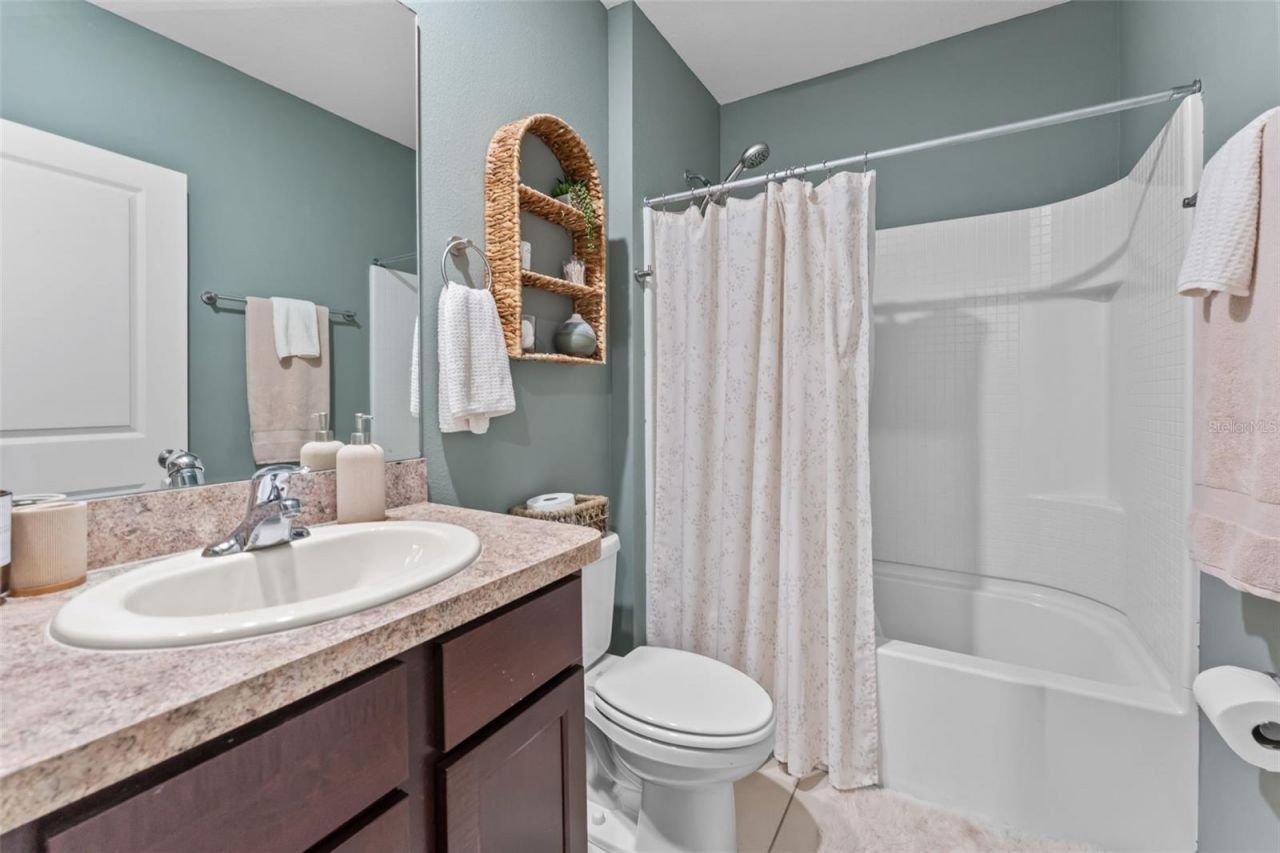 10918 Trailing Vine Drive, Tampa, FL 33610 Photo