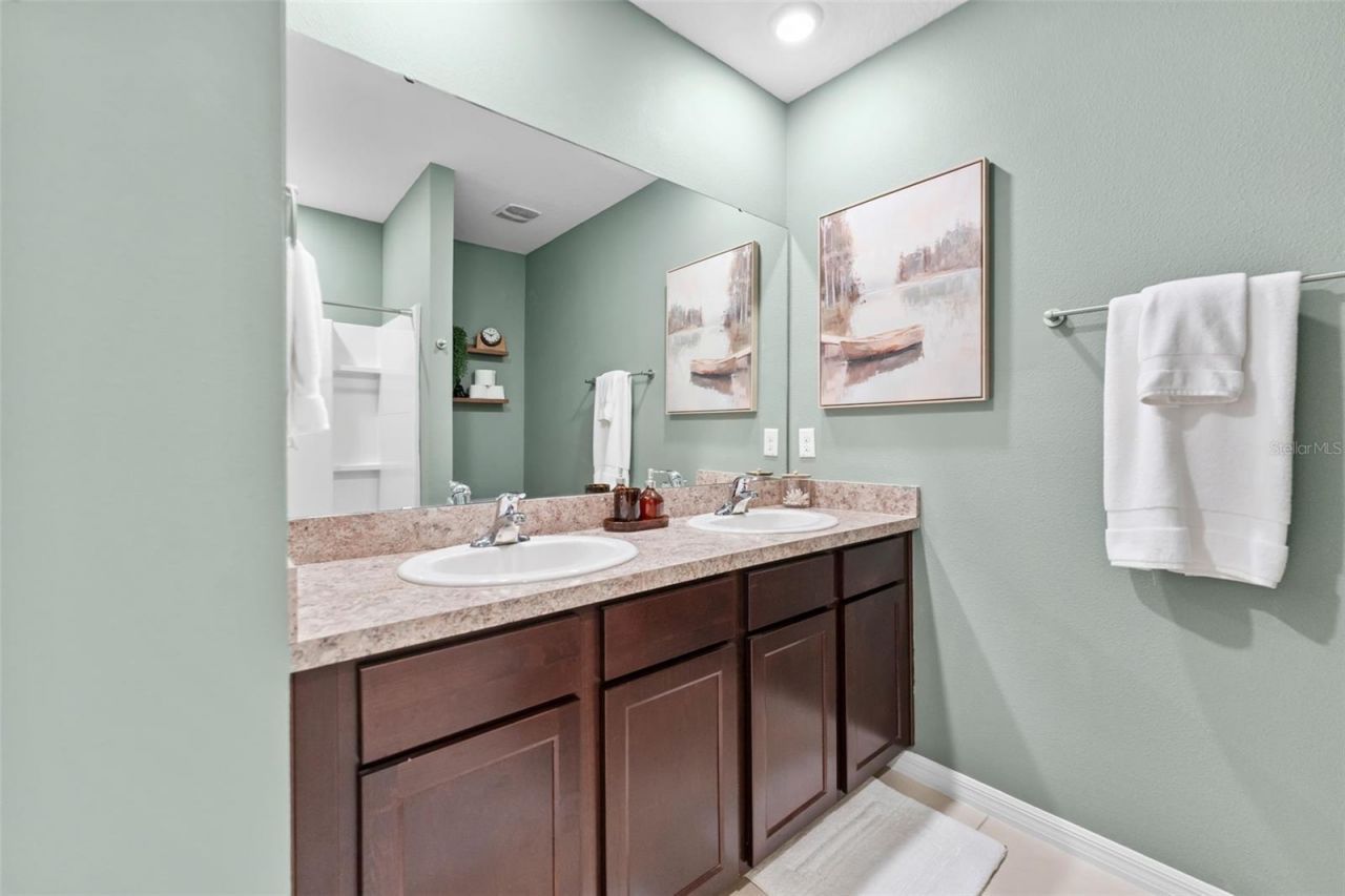 10918 Trailing Vine Drive, Tampa, FL 33610 Photo