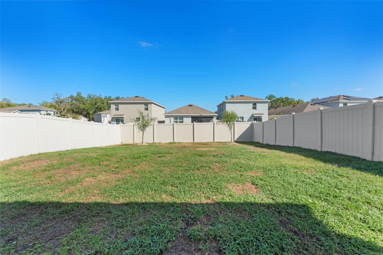 10918 Trailing Vine Drive, Tampa, FL 33610 Photo