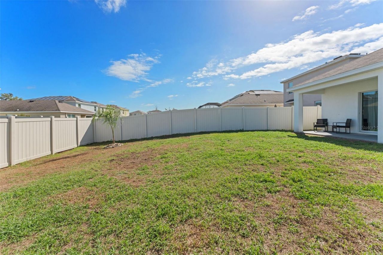10918 Trailing Vine Drive, Tampa, FL 33610 Photo