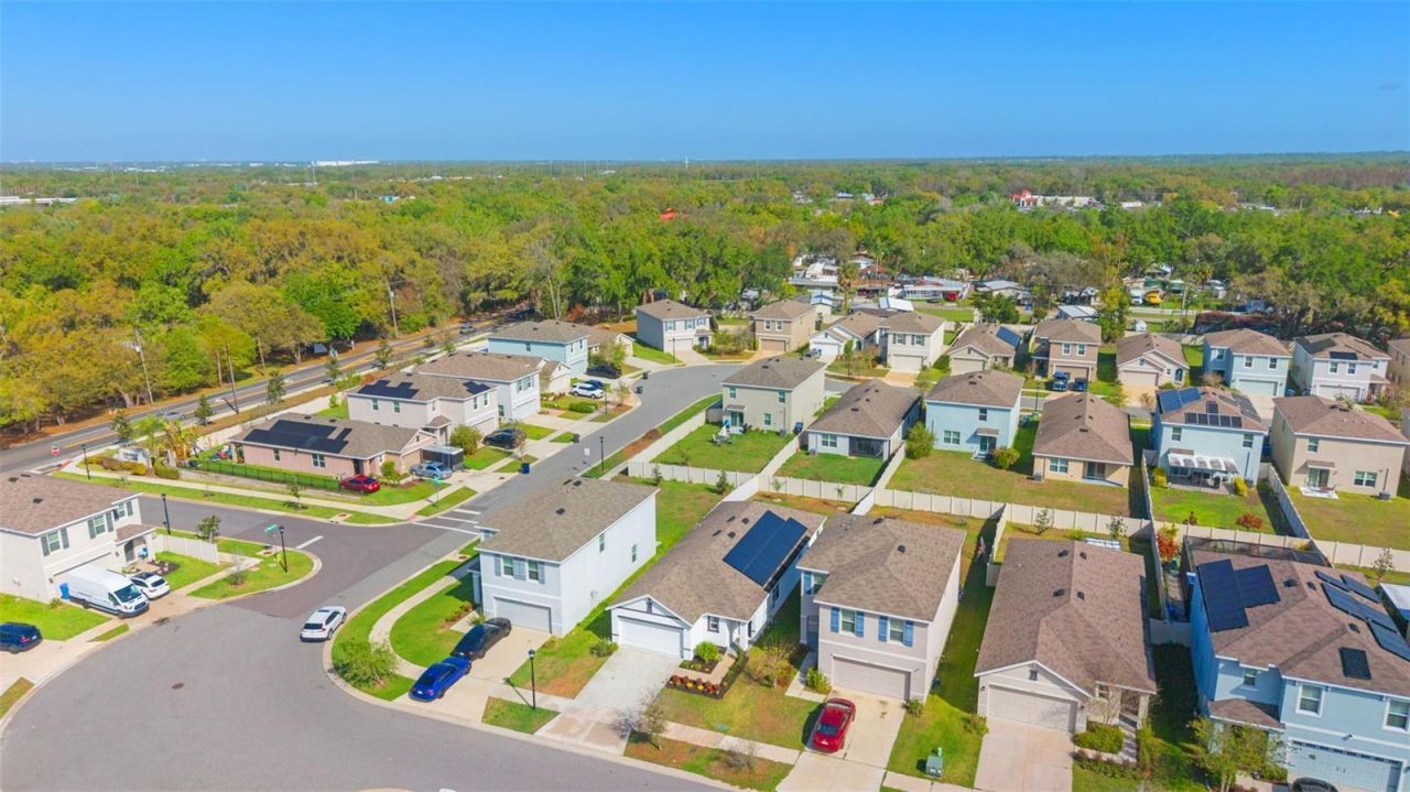 10918 Trailing Vine Drive, Tampa, FL 33610 Photo