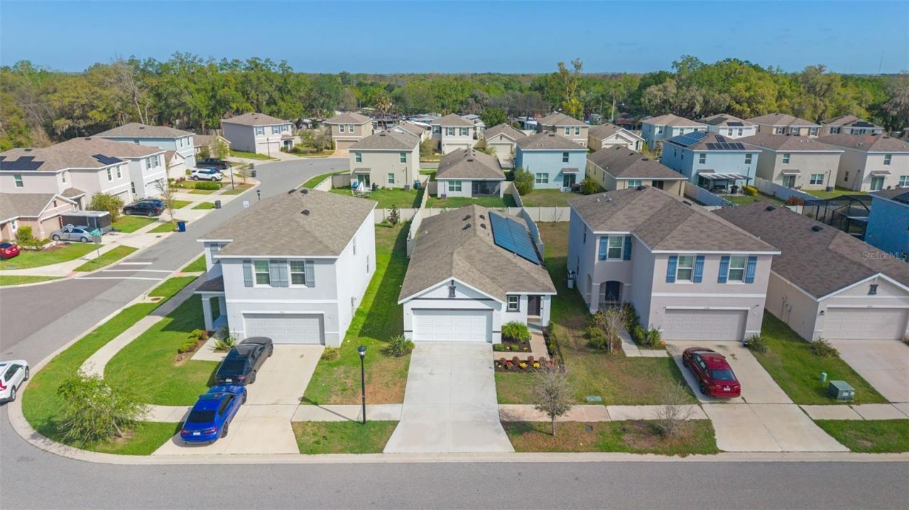 10918 Trailing Vine Drive, Tampa, FL 33610 Photo