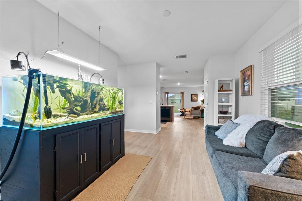 10918 Trailing Vine Drive, Tampa, FL 33610 Photo