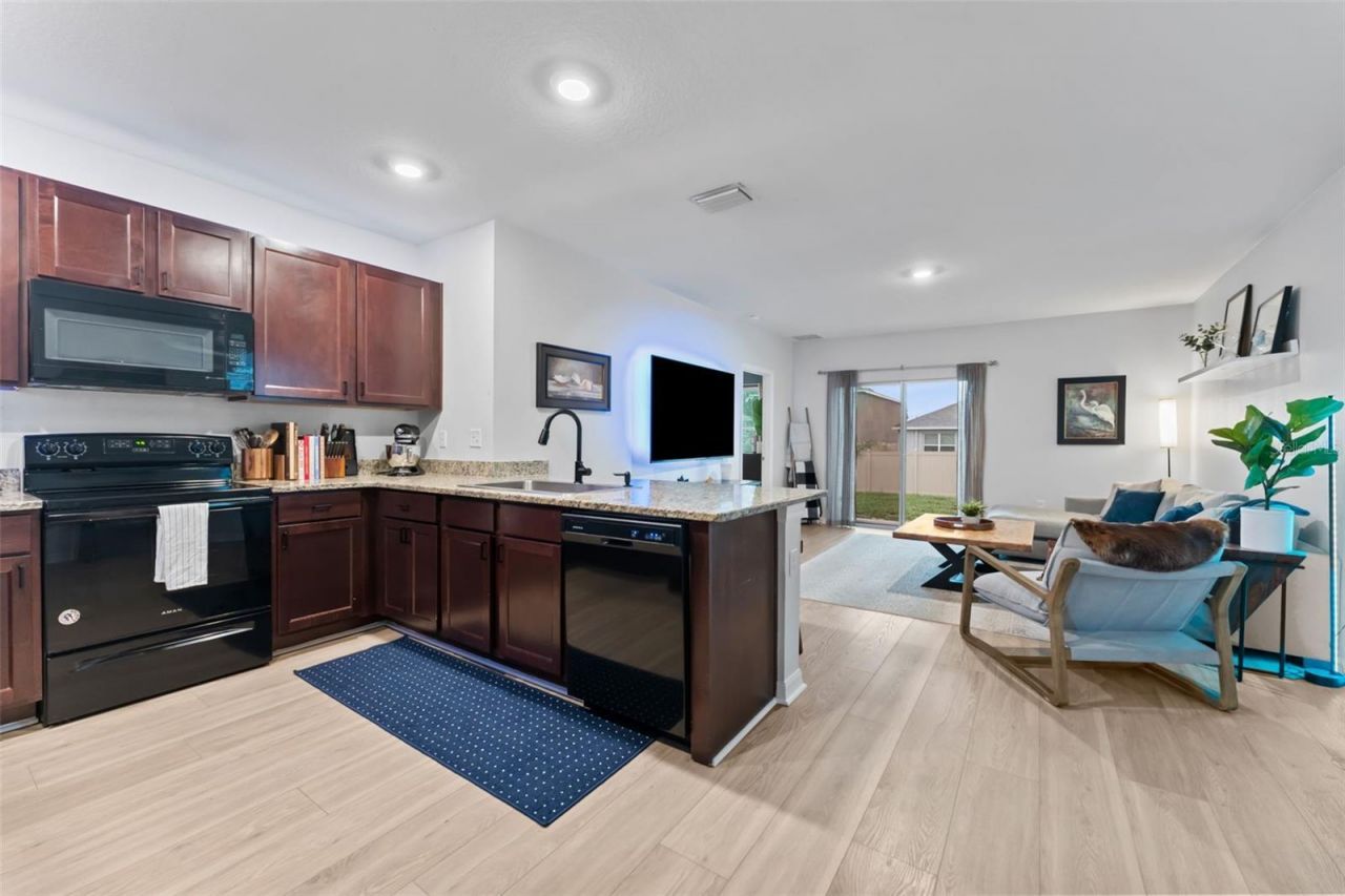 10918 Trailing Vine Drive, Tampa, FL 33610 Photo
