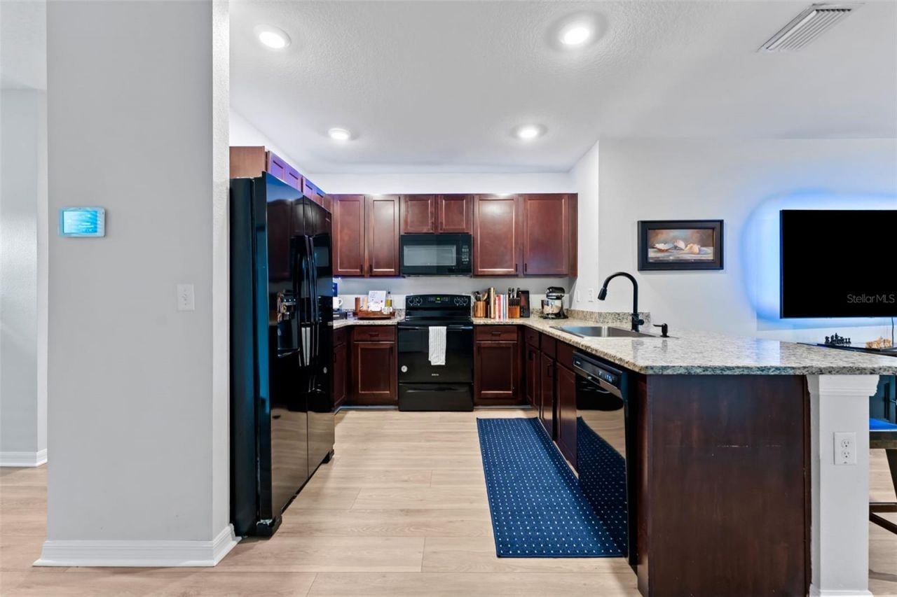 10918 Trailing Vine Drive, Tampa, FL 33610 Photo