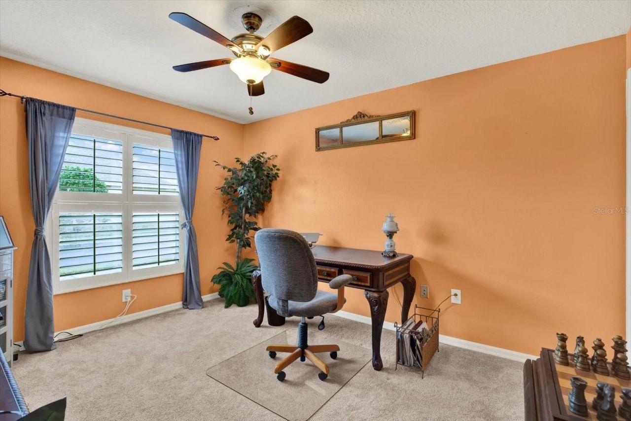 2021 Meadow Rue Court, Trinity, FL 34655 Photo