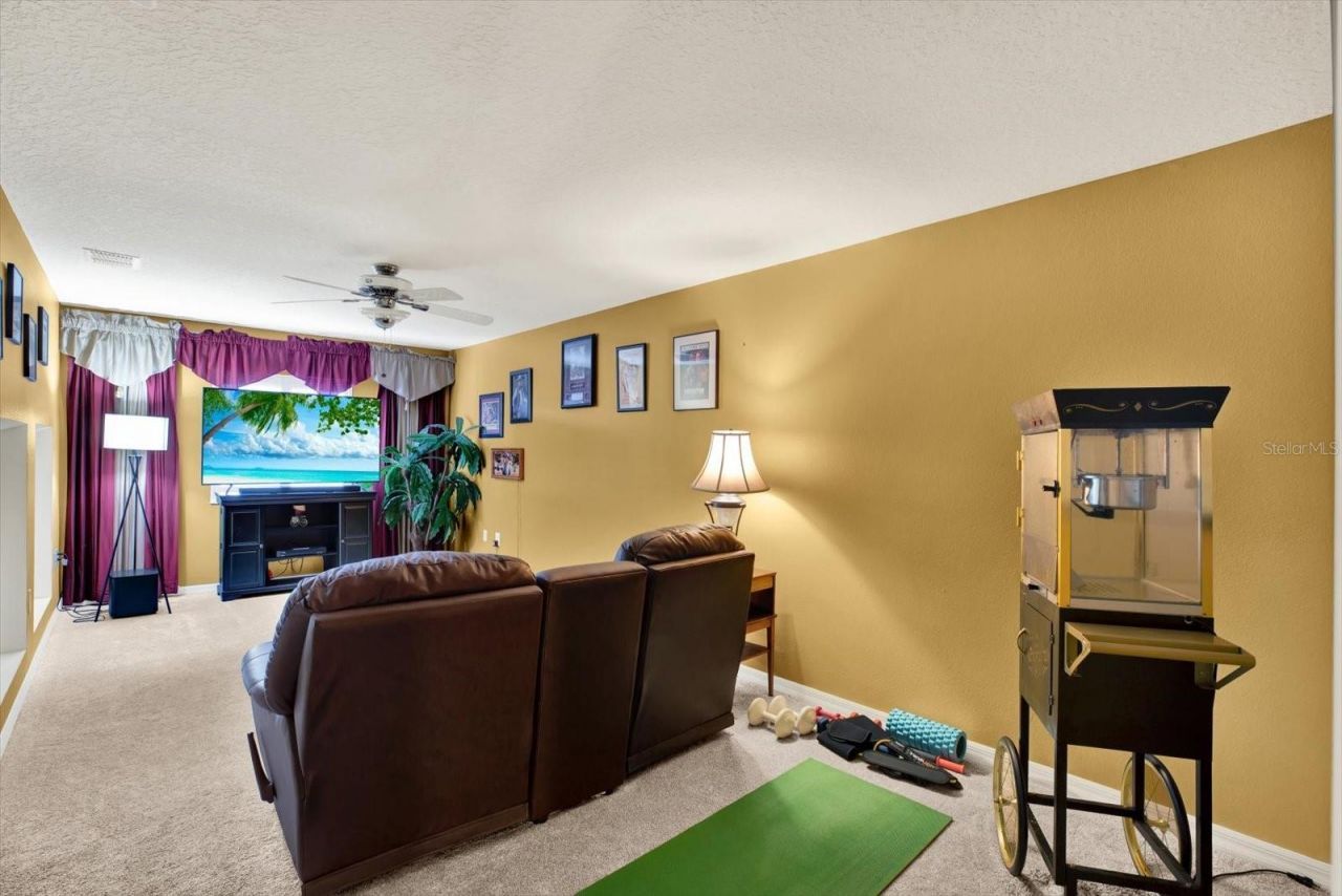 2021 Meadow Rue Court, Trinity, FL 34655 Photo