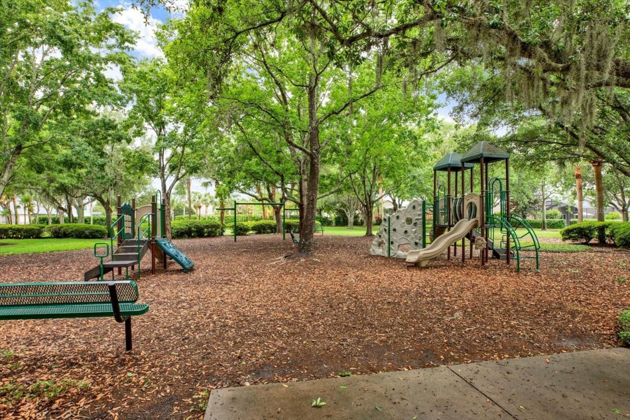 2021 Meadow Rue Court, Trinity, FL 34655 Photo