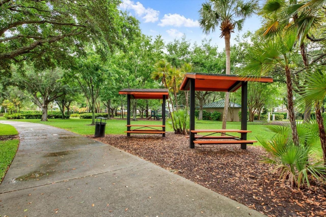 2021 Meadow Rue Court, Trinity, FL 34655 Photo