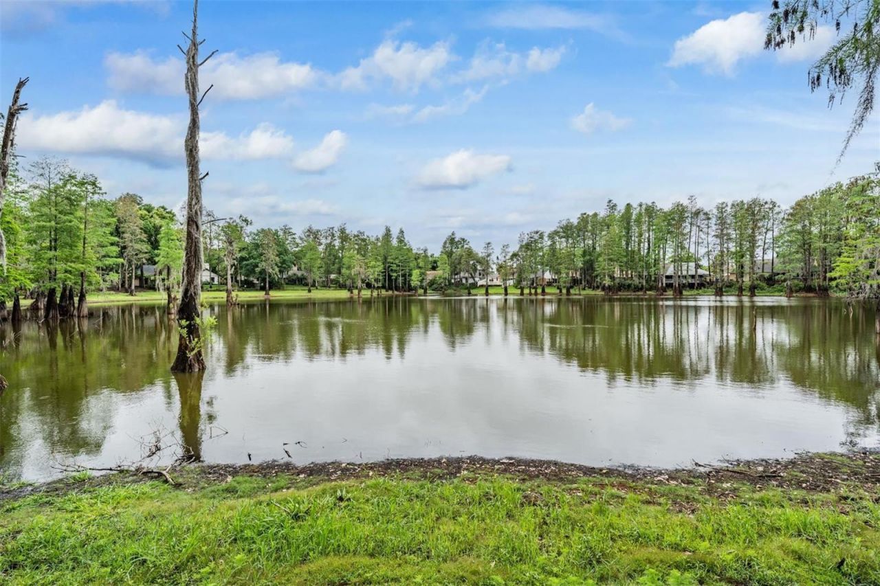 3428 Valley Ranch Drive, Lutz, FL 33548 Photo